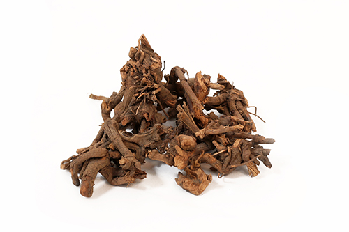 Organic Chitrakmool Dried