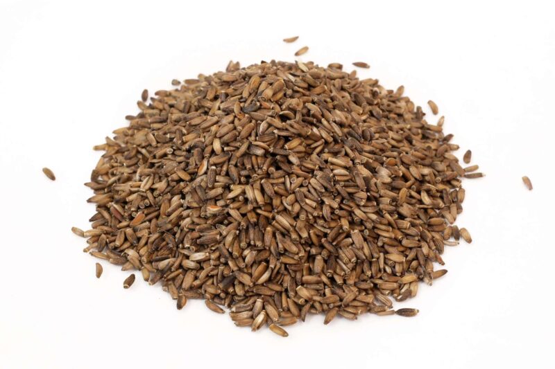 Organic Milk Thistle Seeds Dried